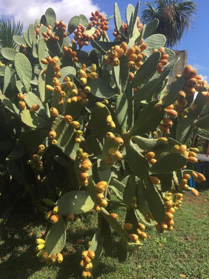 Residenza Caserta Sud - Appartamento Con Giardino المظهر الخارجي الصورة