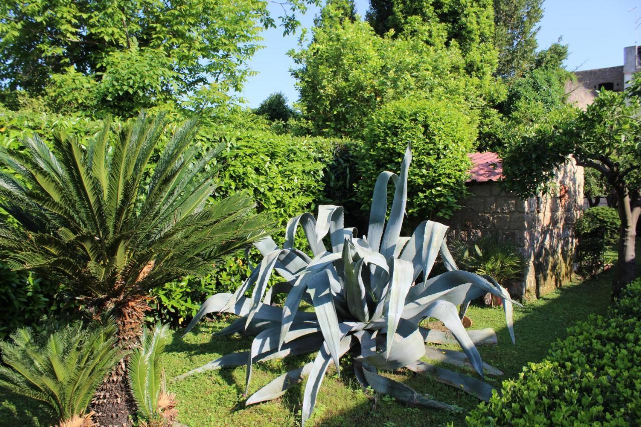 Residenza Caserta Sud - Appartamento Con Giardino المظهر الخارجي الصورة